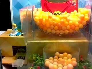 たこ焼き台沼見本