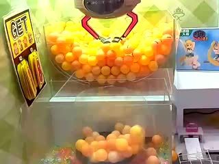 沼見本