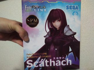 Fate/EXTELLA LINK スーパープレミアムフィギュア“スカサハ”